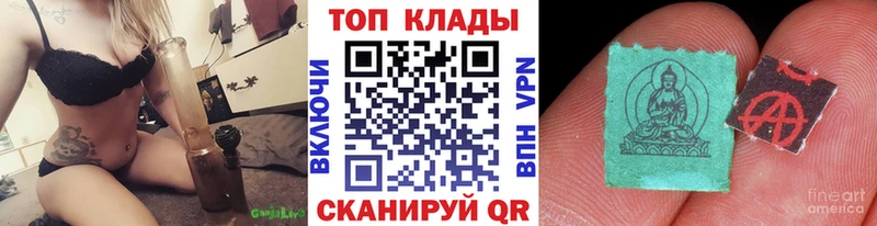Купить закладку COCAIN  Бошки Шишки  Мефедрон  Alpha-PVP  ГАШИШ  Светогорск