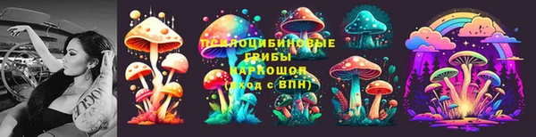 a pvp Гусев