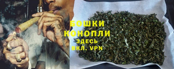 spice Гусиноозёрск