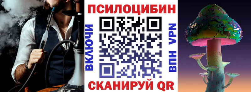Галлюциногенные грибы Cubensis  Купить где  Светогорск 